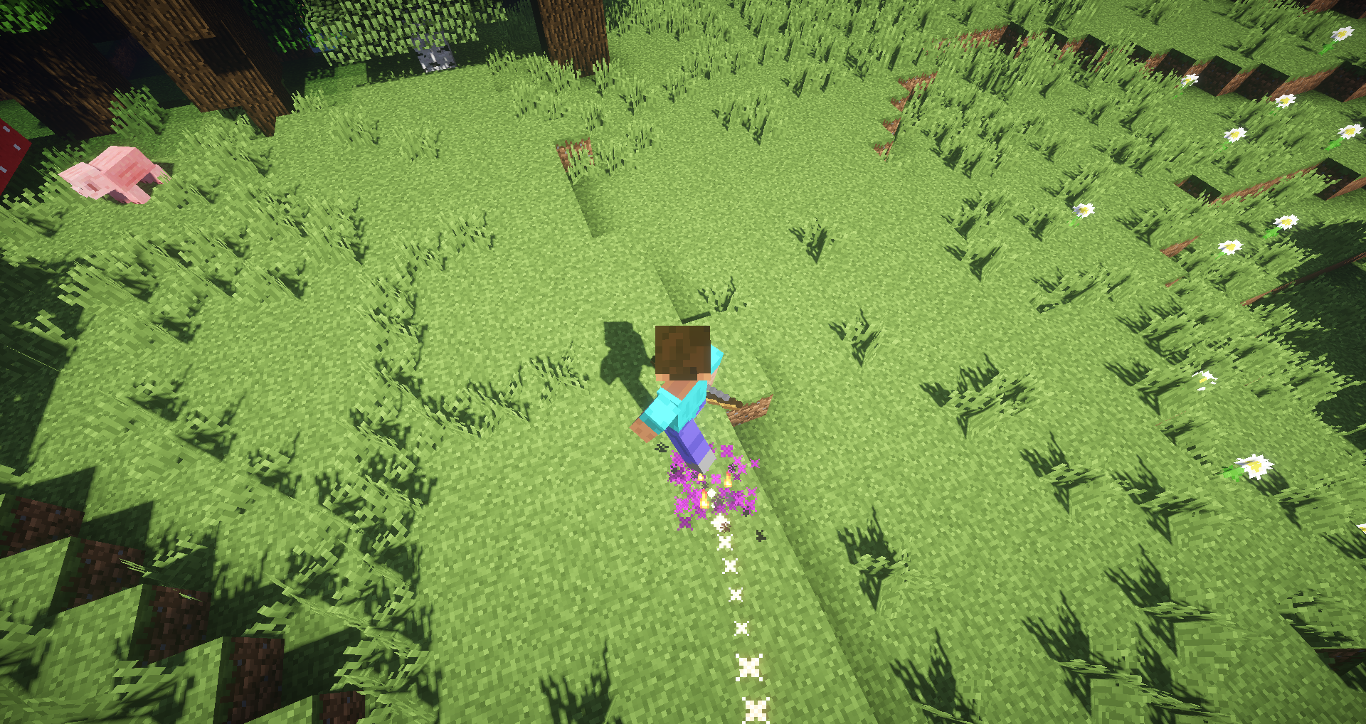 509f92a4182c24fce6b232917c40ba02.png