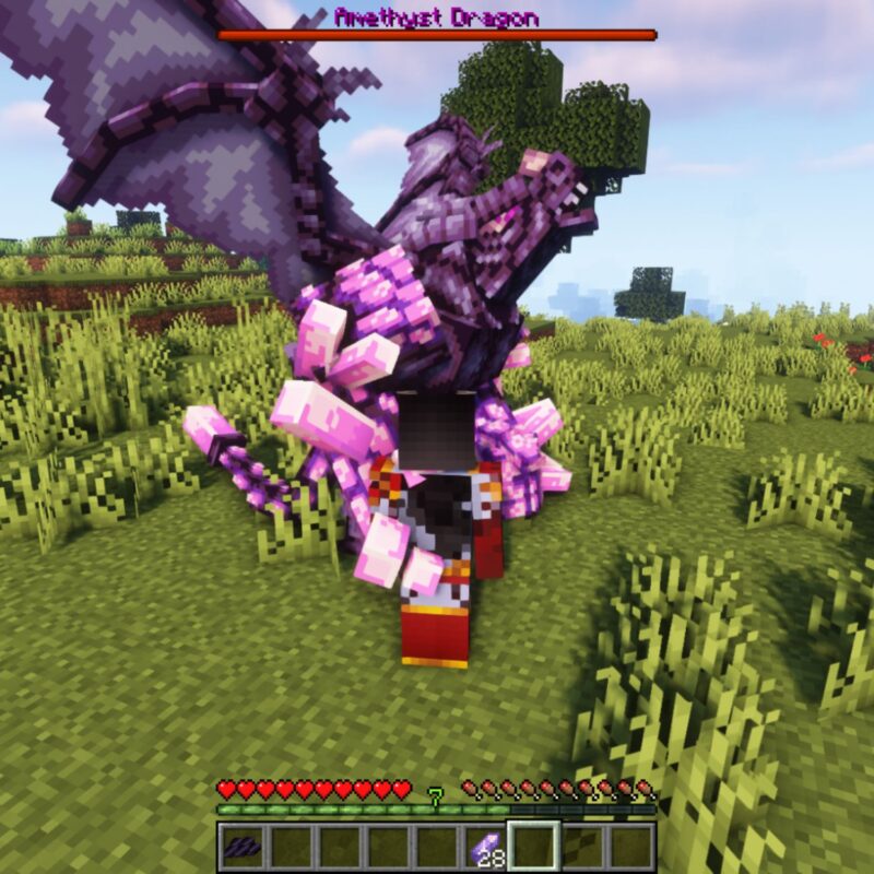 amethyst_4-800x800.jpg