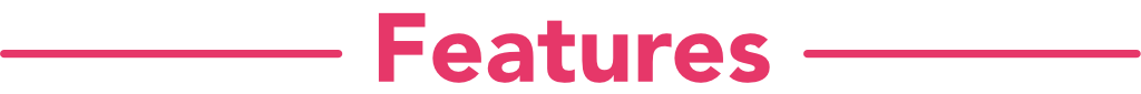 features.png