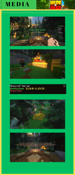 HAS MEDIA.png
