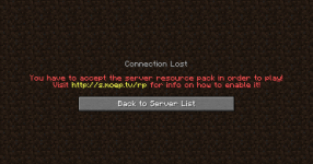 Minecraft_-_Phoenix616_2020-10-27_23-56-08.png