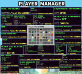 playermanager-manager.png
