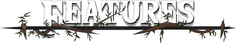 RvIgh3u.png