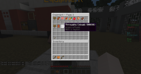 R137Wr2.png