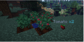 bmSSKhc.png