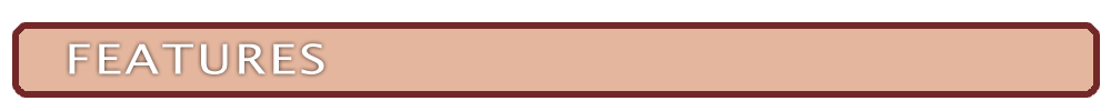 le16Fe2.png