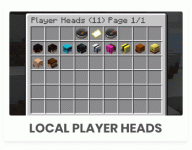 Player-Heads.gif