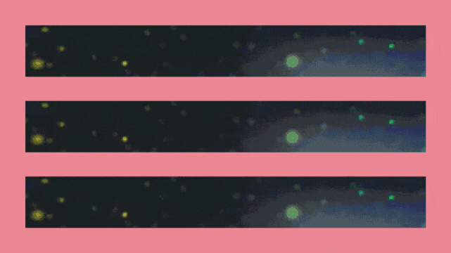 Halo Project File // RAINBOW // COLOR // HQ MINECRAFT ANIMATED BANNER DESIGN // CIRCULAR