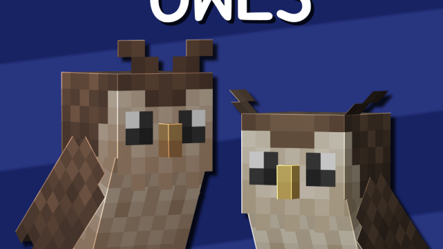 Nog’s Owls