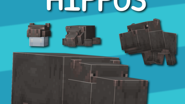 Nog’s Hippos | Adult and Baby Hippo Mobs!